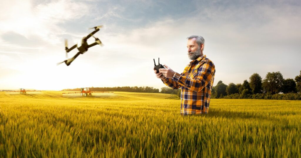férfi a búzamezőn drónt irányít