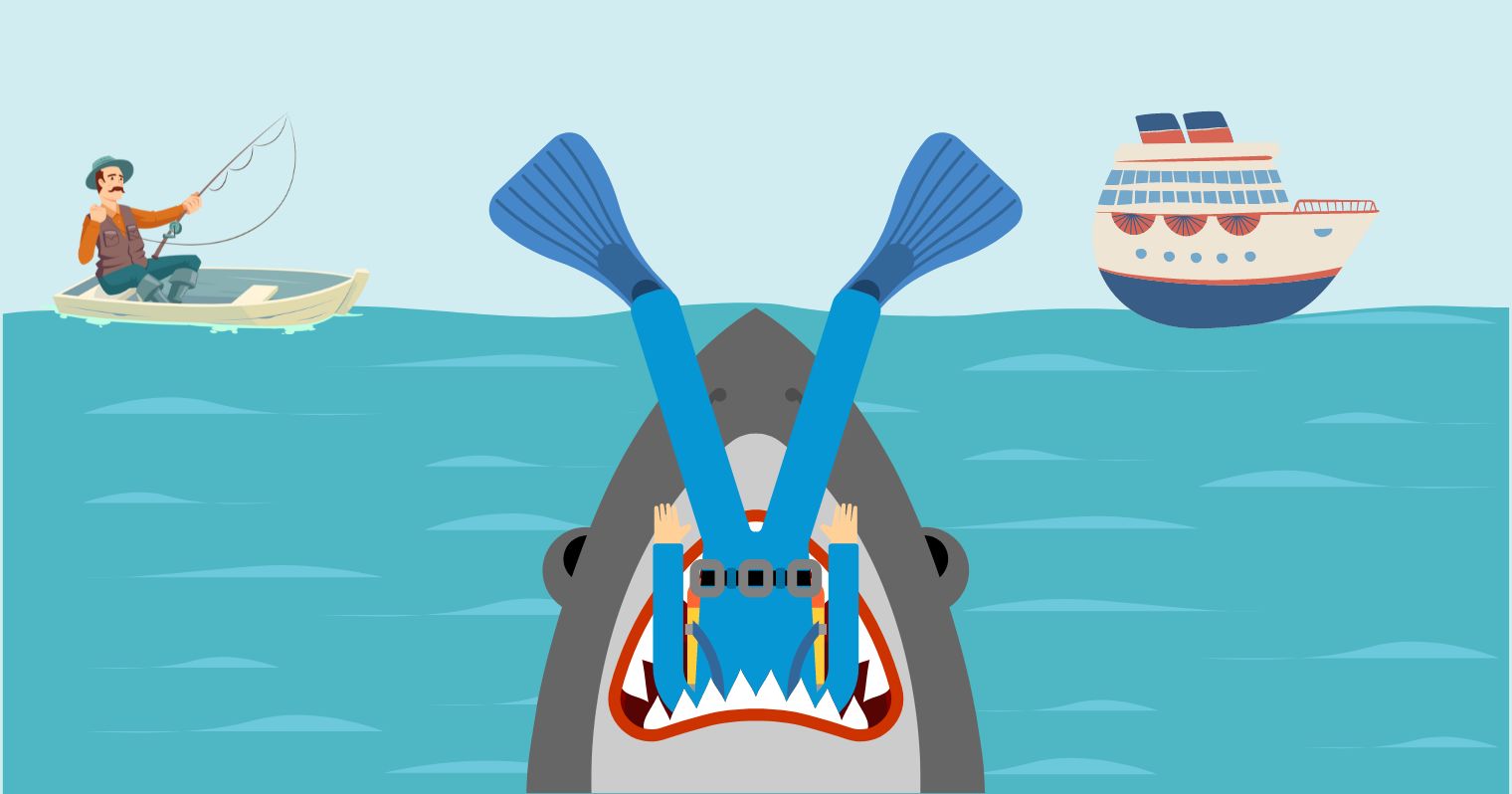 kvíz - illusztrált cápatámadás borítókép