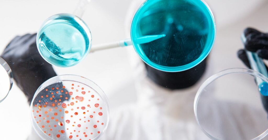 A képen labor minták láthatók, festékes edénnyel és petri csészével