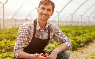 Pályázat fiatal agrár szakembereknek, mezőgazdasági nagydíj elnyerésére