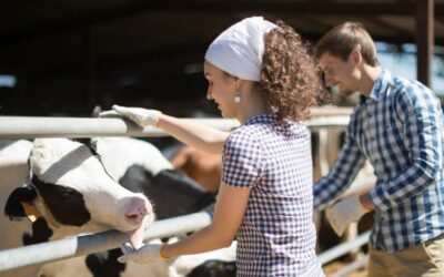 Megkezdődött az Agrárkamara őszi pályaorientációs programsorozata