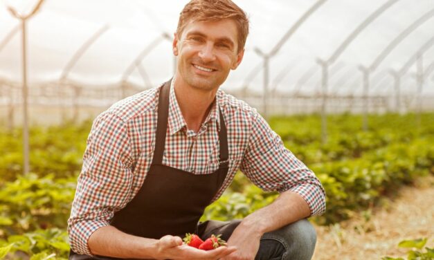 Pályázat fiatal agrár szakembereknek, mezőgazdasági nagydíj elnyerésére