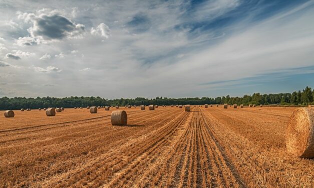 Agrárszektor konferencia 2023: közeleg az év nagy agráreseménye