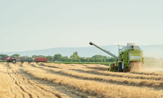 Nagy István: Elkészült az új agrár- és vidékfejlesztési pályázatok menetrendje