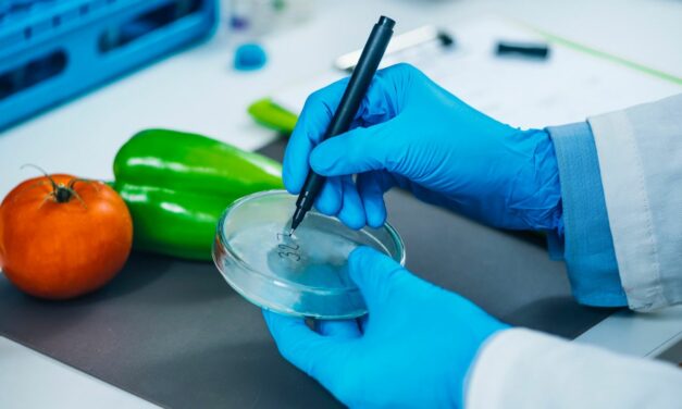 Élelmiszer-ellenőrzési technikus szakma leírása