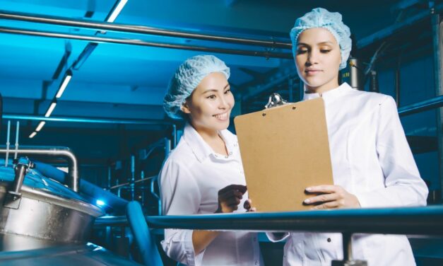 Élelmiszeripari gépésztechnikus szakma leírás