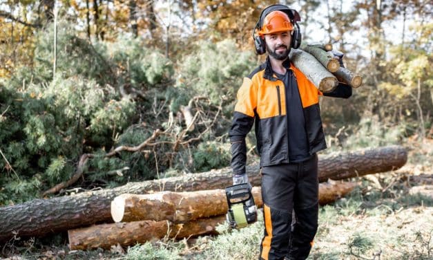Erdőművelő-fakitermelő szakma leírása