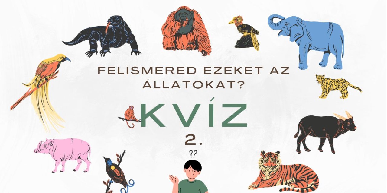 Felismered ezeket az állatokat? Kvíz 2 felirat, körülötte rajzolt állatok.