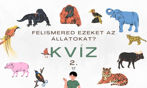 Kvíz: Felismered ezeket az állatokat? 2.