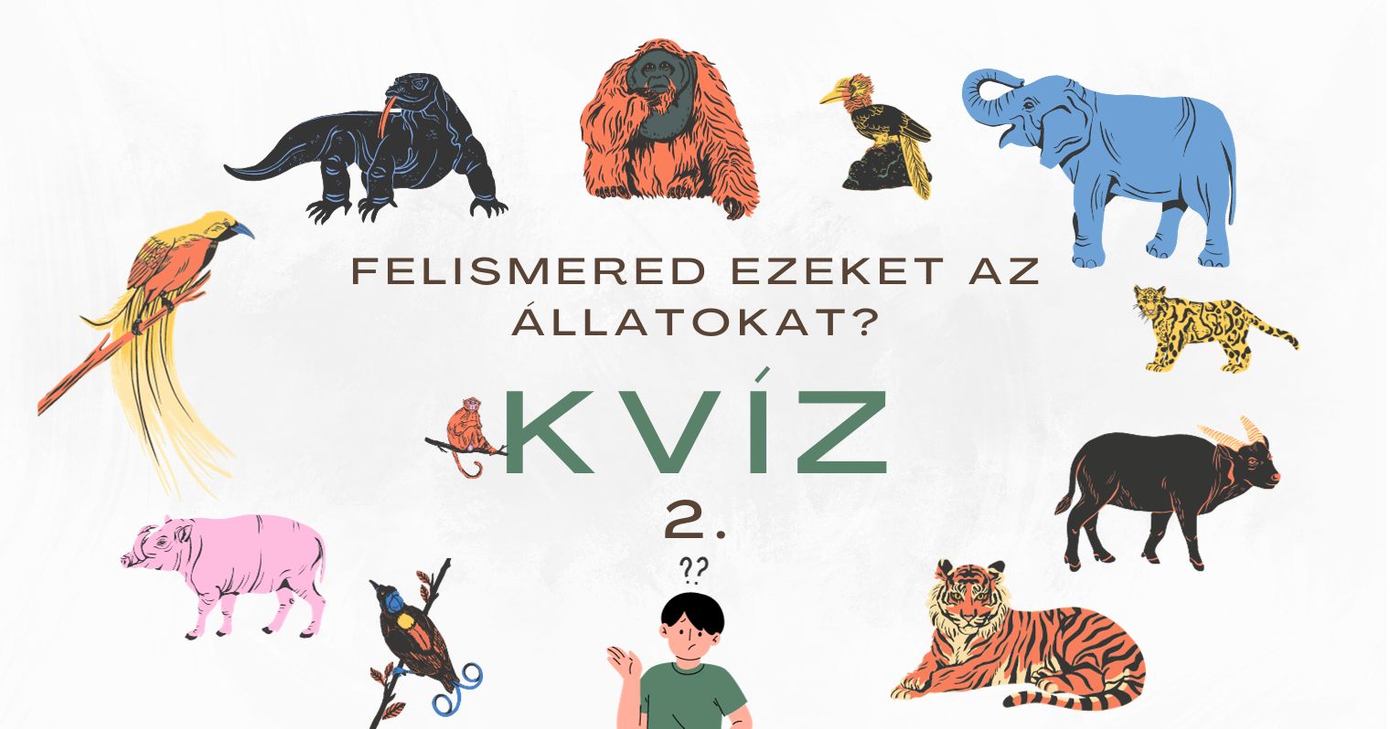 Felismered ezeket az állatokat? Kvíz 2 felirat, körülötte rajzolt állatok.