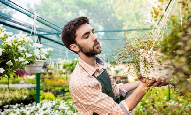 Kertész technikus szakma leírása