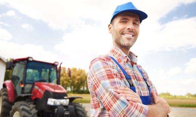 Mezőgazdasági technikus szakma leírása