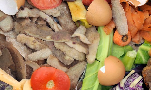 Biogáz és komposzt lesz a barna kukába dobott hulladékból