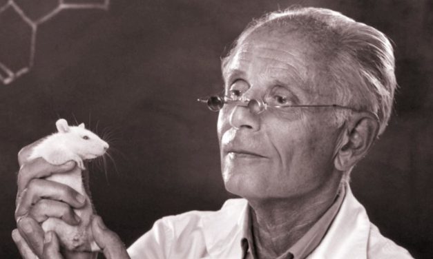 Ma lenne 117 éves Selye János, a stresszkutatás atyja