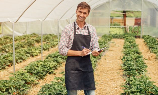 A kertész technikus képzésen öt szakmairány közül választhatsz
