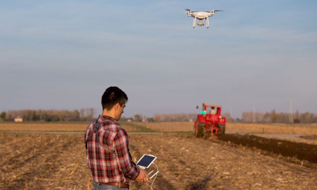 Mezőgazdasági technikusként részt vehetsz a legújabb technológiák bevezetésében és alkalmazásában