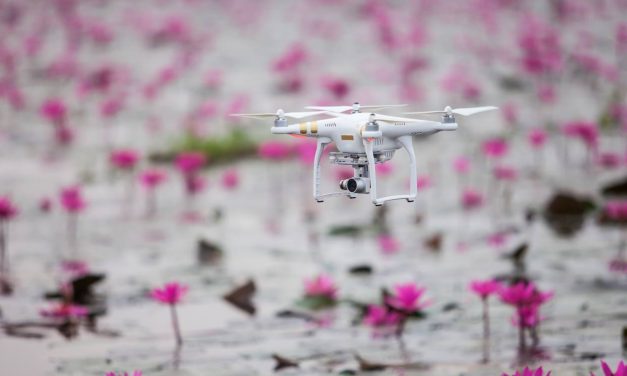 Tehetünk drónokkal a növényvédelem érdekében!