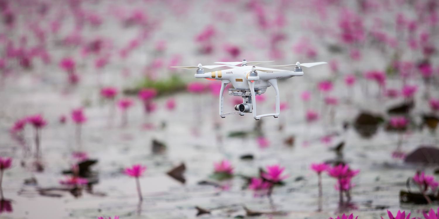 A növényvédelem érdekében alkalmazhatunk drónokat. (Fotó: 123RF)