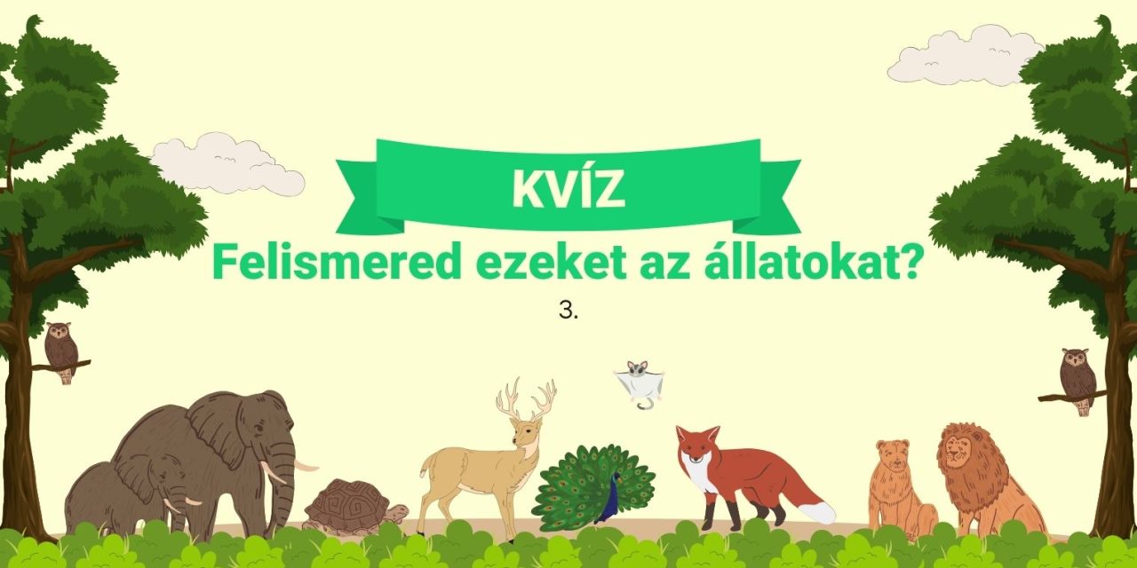 Állatok grafikái egy sárga háttér előtt, két fa között, felettük a kvíz címe.