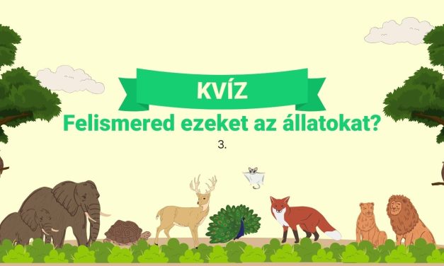 Kvíz: Felismered ezeket az állatokat? 3.