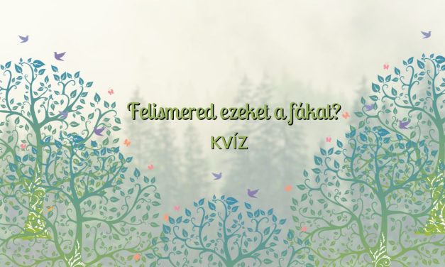 Kvíz: Felismered ezeket a fákat?