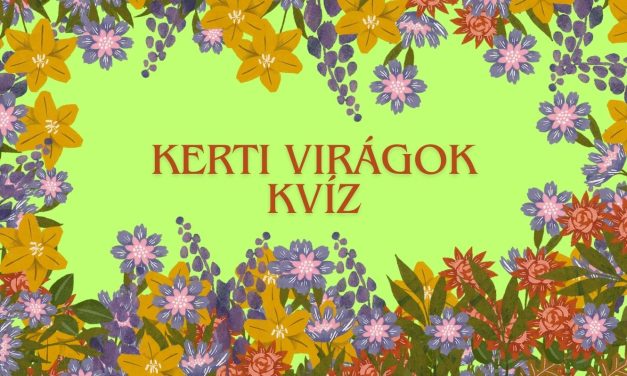 Kvíz: Felismered ezeket a kerti virágokat?