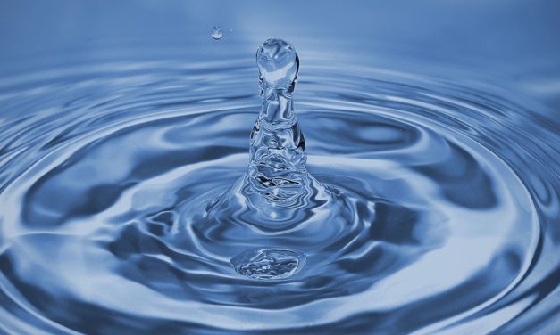A víz világnapja – Az élet forrása