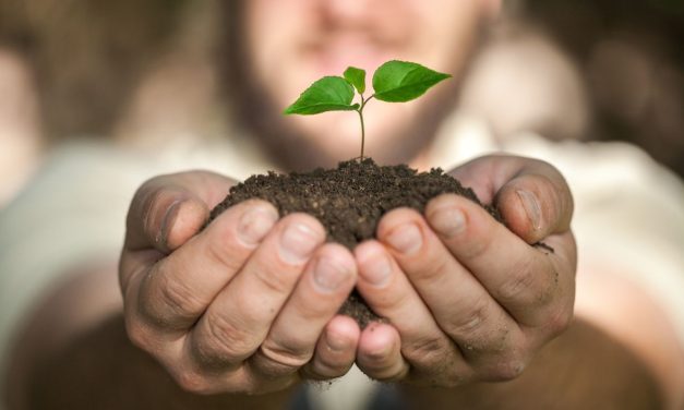 Akik egy szebb jövőért dolgoznak: a környezetvédelem és vízügy ágazat szakmái