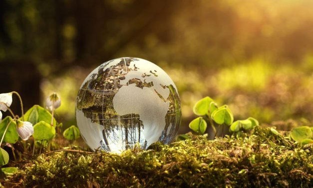 Fenntarthatósági Témahét: neveljük környezettudatosságra az iskolás gyerekeket!