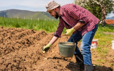 Tavaszi munkák a földeken – Miért érdemes agrárszakmát választani?