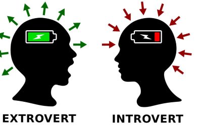 Extrovertált vagy introvertált? Így válassz szakmát!