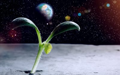 A Hold sem a régi – mit keres a mezőgazdaság az űrben?