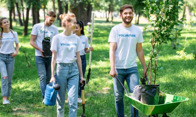 Önkéntesség – hogyan segíthet a tapasztalatszerzésben és a pályaválasztásban?