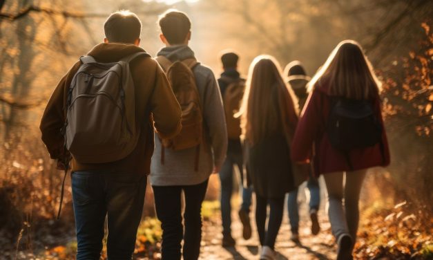 Erdei séta stresszoldásra – tudományos bizonyítékokkal