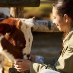 Állatgondozó részszakma – mert az állatok közelében lenni menő!