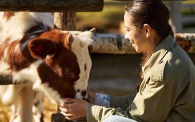 Állatgondozó részszakma – mert az állatok közelében lenni menő!