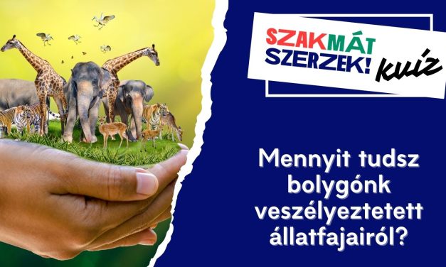 Mennyit tudsz bolygónk veszélyeztetett állatfajairól?