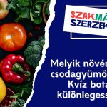 Melyik növényt hívják csodagyümölcsnek? – Kvíz botanikai különlegességekről