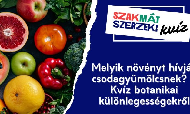 Melyik növényt hívják csodagyümölcsnek? – Kvíz botanikai különlegességekről