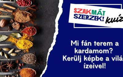 Mi fán terem a kardamom? – Kerülj képbe a világ ízeivel!