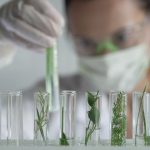 Természettudományos pályák: nemcsak kutatóknak – szakmák, amelyek a jövőt védik