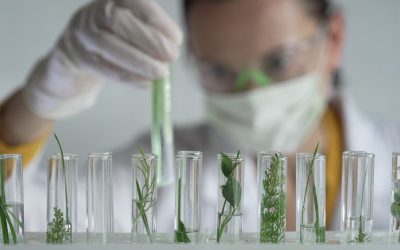 Természettudományos pályák: nemcsak kutatóknak – szakmák, amelyek a jövőt védik