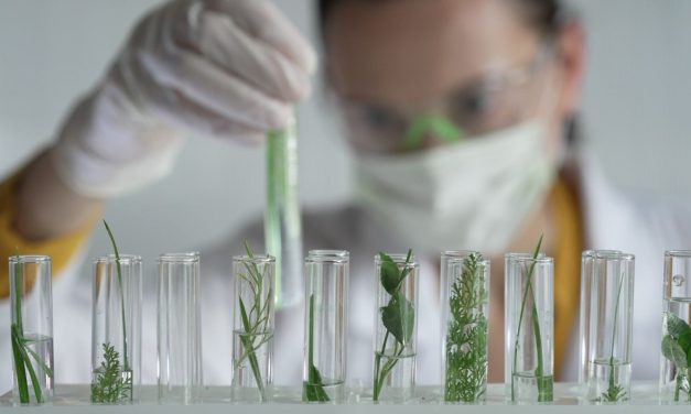 Természettudományos pályák: nemcsak kutatóknak – szakmák, amelyek a jövőt védik