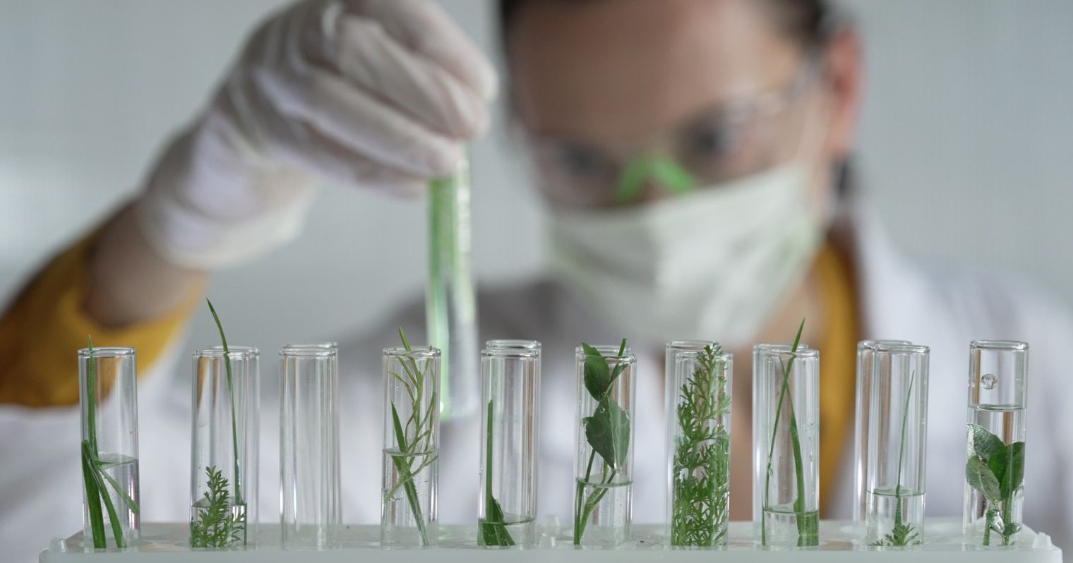 természettudományos pályák