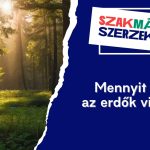 Mennyit tudsz az erdők világáról?