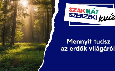 Mennyit tudsz az erdők világáról?
