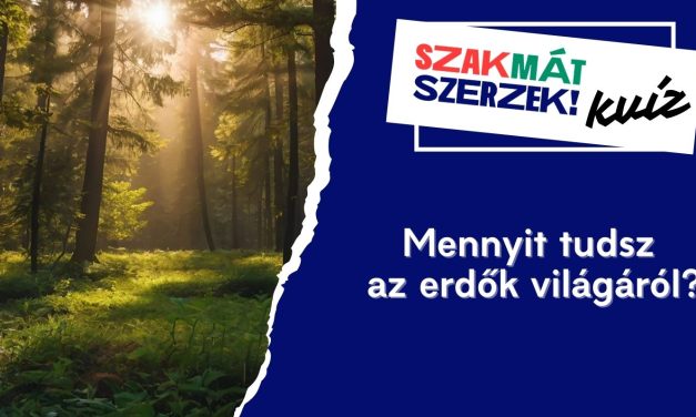Mennyit tudsz az erdők világáról?