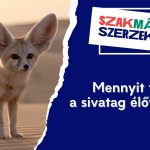 Mennyit tudsz a sivatag élővilágáról?