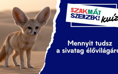 Mennyit tudsz a sivatag élővilágáról?