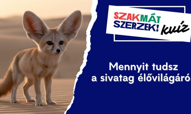 Mennyit tudsz a sivatag élővilágáról?